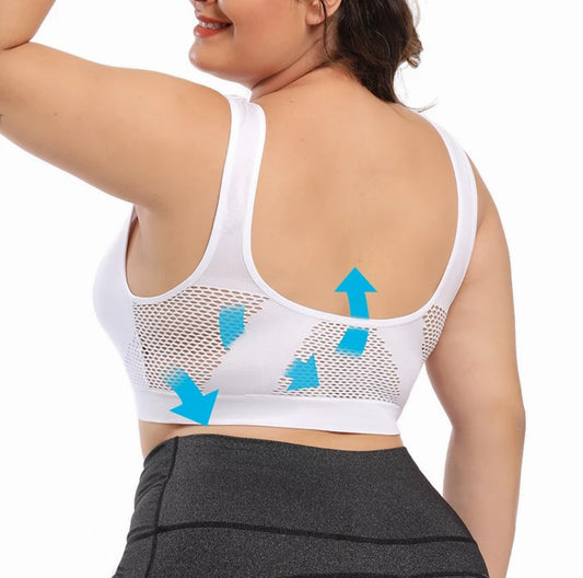 NSF Support Sports Bra